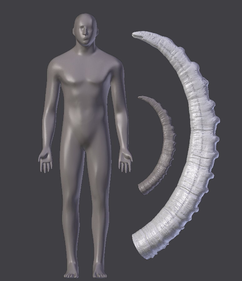 3D rendering of adult human, life-size alpine ibex horn, and 5-foot sculpture emphasizing ring detail and mathematical formula predicting horn growth from environmental factors.