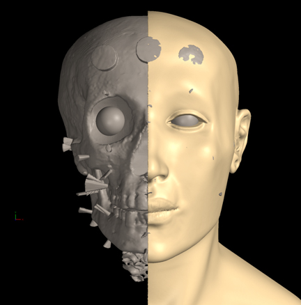Digital reconstruction of Egyptian King  Tutankhamen's skull and face.
