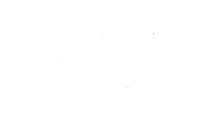 Biomedical Modeling, Inc. logo