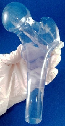 Photo of polished semi-transparent femur biomodel.