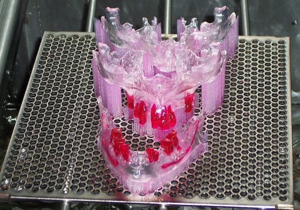 Biodental models building on stereolithography machine.