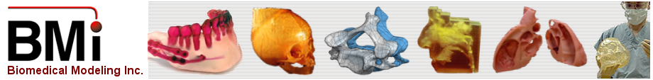 Biomedical Modeling Inc. Your source for custom anatomical models.