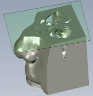 Rendering of modified anatomy of nasal canal, airways, and sinuses.